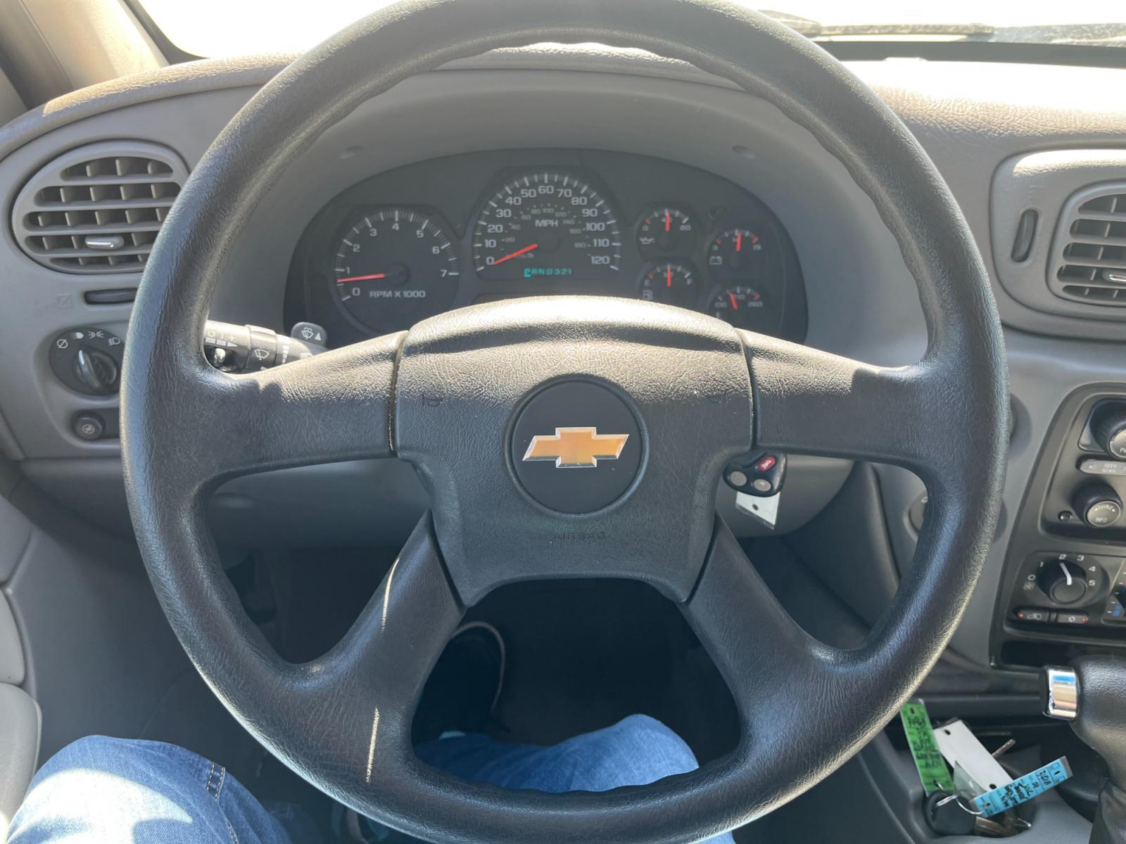 2005 GRAY /gray Chevrolet TrailBlazer LS 2WD (1GNDS13S052) with an 4.2L L6 DOHC 24V engine, 4-Speed Automatic Overdrive transmission, located at 14700 Tomball Parkway 249, Houston, TX, 77086, (281) 444-2200, 29.928619, -95.504074 - Photo #15